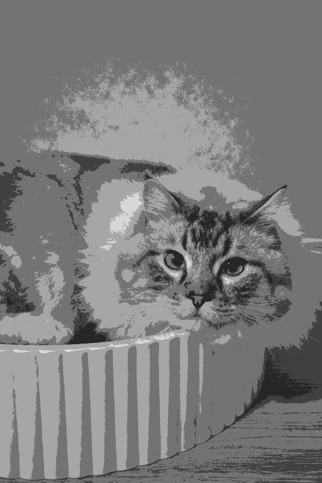 PURE 超轻徒步装备团队形象插画